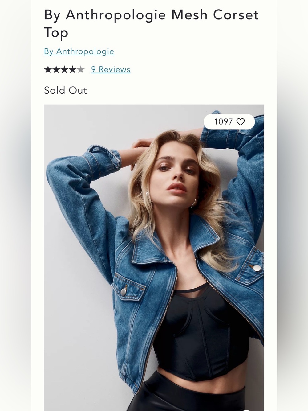 NWT Anthropologie Mesh Corset Top